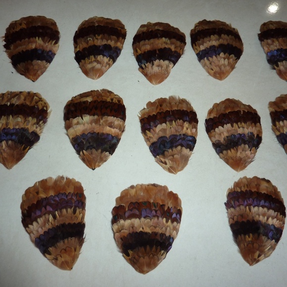 WESTERN GERMANY Vintage FEATHER BIRDS  Browns LOT OF 13  For Crafting Etc - Picture 3 of 8